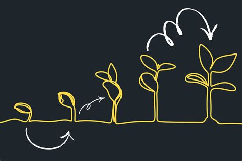 Image result for Learning Organization Maturity Model