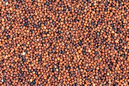 MILLET BASED TECHNOLOGIES