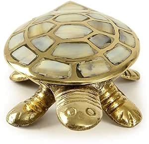 Buy GS Grow n Shine Feng Shui Wish Full Filling Turtle Tortoise with A ...