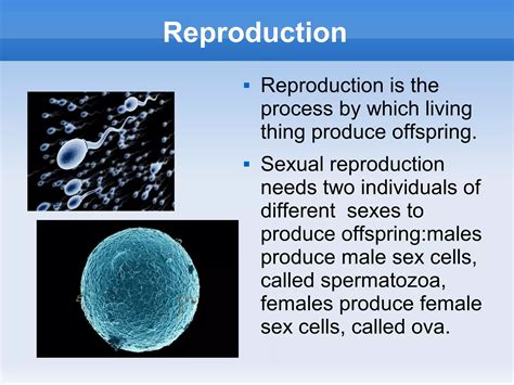 Image result for Reproduction Definition