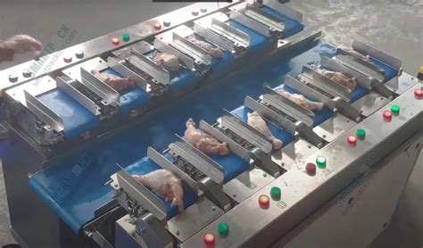 Image result for Meat Packing Machine