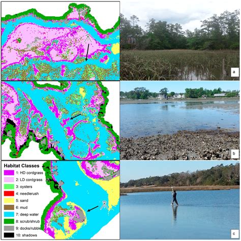 Remote Sensing | Special Issue : What can Remote Sensing Do for the ...