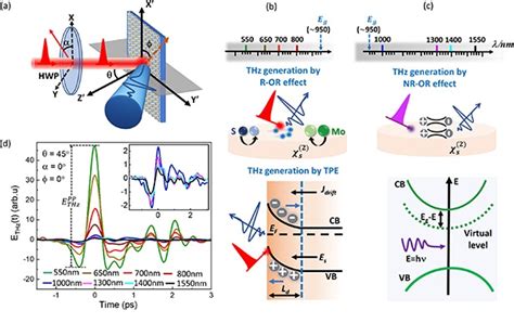 Prof. Sunil Kumar, IIT Delhi