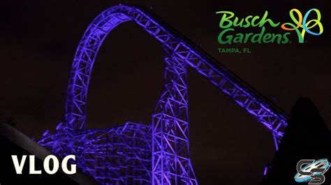 CRAZY Wait Times at Busch Gardens Tampa & Iron Gwazi is STILL Not Open ...
