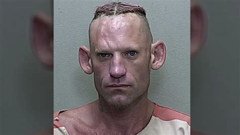 Florida man's mugshot goes viral after traffic stop arrest | FOX 51 ...