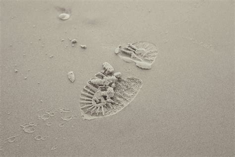 Nostalgia Synonym: Beautiful Words That Capture the Soul