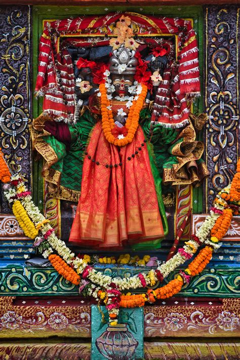 Image result for Kali Linux Stock Image