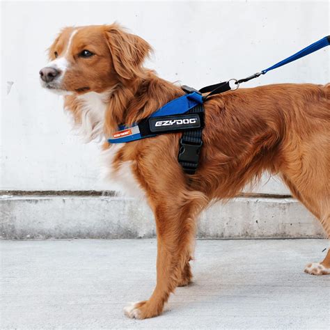 Buy EzyDog Express Dog Harness - Streamlined Sport Harness Easy Single ...