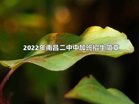2022年南昌二中中加班招生简章(附收费标准)_小升初网