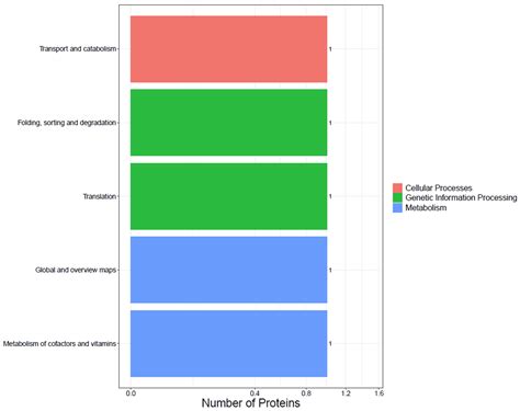Microproteomic-Based Analysis of the Goat Milk Protein Synthesis ...