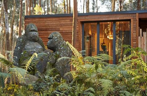 One&Only Gorilla's Nest