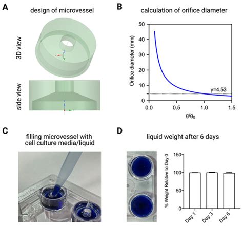 Engineered Microvessel for Cell Culture in Simulated Microgravity