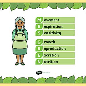 Characteristics of Living Things Mrs. Gren Acronym Poster