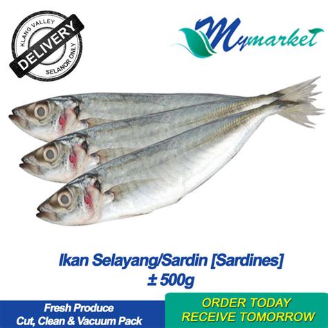 Image result for Python Moduies Flower