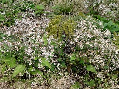 Central PA Local News, Breaking News, Sports & Weather