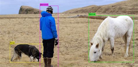 Image result for Python Tetra Detector