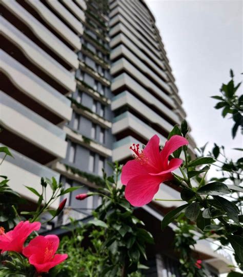 Top Real Estate Builders, Property Developers in Bangalore | Best ...