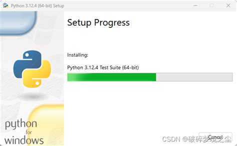 Install Python 3.9.4 的图像结果