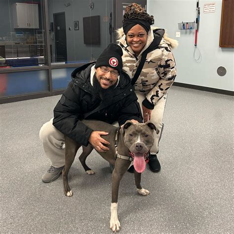 Naperville Area Humane Society (@naperhumane) • Instagram photos and videos