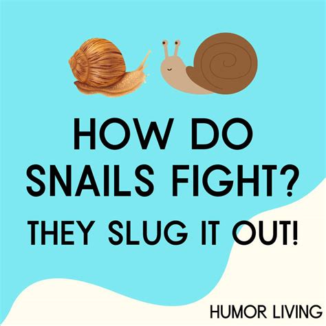 Snail Vs Slug Fight at Mariam Mountgarrett blog