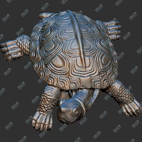 乌龟-3D打印模型下载-3D工场 3Dworks.cn