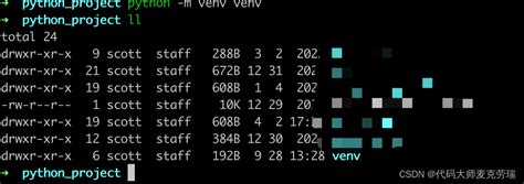 Install Venv Python 的图像结果