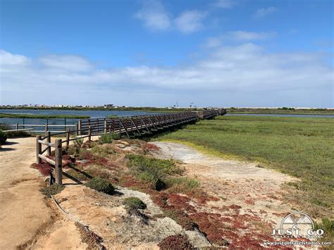 Bolsa Chica Ecological Reserve: Things to Do, Hiking Trails, Tours, We ...