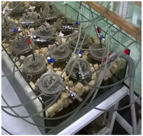 Agricultural Plant Residues as Potential Co-Substrates for Biogas ...