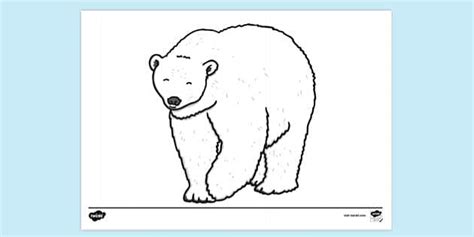Polar Bear Colouring Page Printable | Colouring Sheets