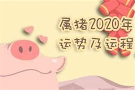 属猪人2023运势运程每月运程(属猪的2021年适合做生意吗)_生肖_若朴堂文化