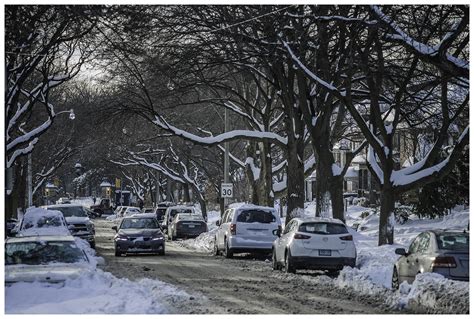 Asahi Super Multi Coated Takumar 135mm f3.5 - Sample Photos