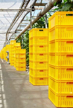 Home - DSSG Infra Pvt Ltd