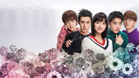 Watch Meteor Garden | Netflix Official Site