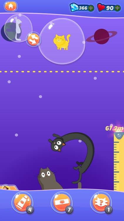 Stack Cats Challenge 的图像结果