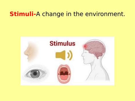 Image result for Stimulus Control Transfer ABA Example