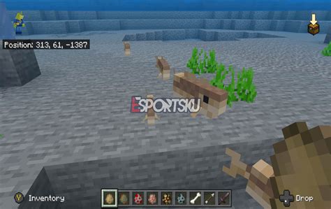 Jenis Makanan Ocelot di Minecraft – Esportsku