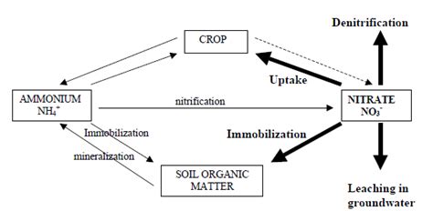 The effect of some common synthetic fertilizers on the soil