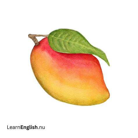Fruits in French with names - learn french