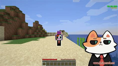 Image result for Speed Run Seed Java