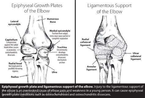 Image result for Appendix with Screen Shot Example