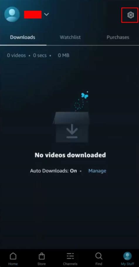 Image result for Amazon Prime PIP Controls