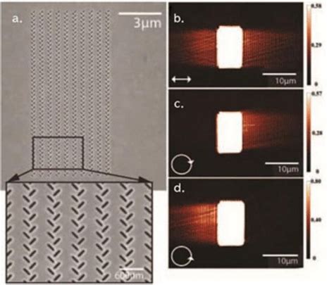 Snom Spectroscopy 的图像结果