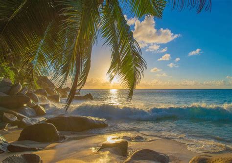 Praslin Island: A 2024 Guide To Picturesque Gem In Seychelles!