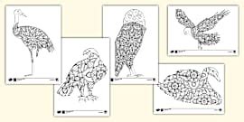 Mandala Sea Animals Colouring Pages - Twinkl - KS2