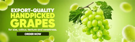 KisanKonnect - Fresh From Farm