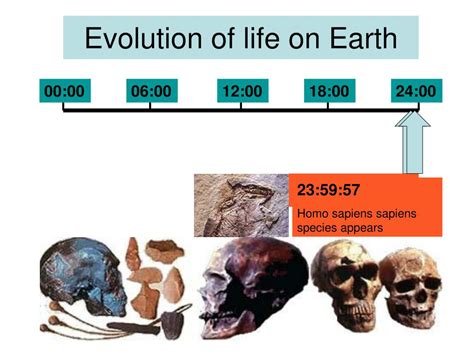 Evolution of Life Chart 的图像结果
