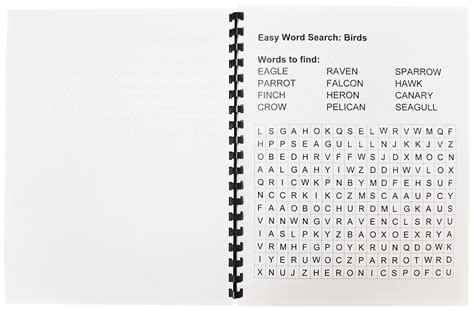 Braille Word Search Book | ViewPlus