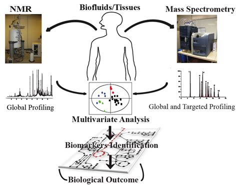 Monitoring Healthy Metabolic Trajectories with Nutritional Metabonomics