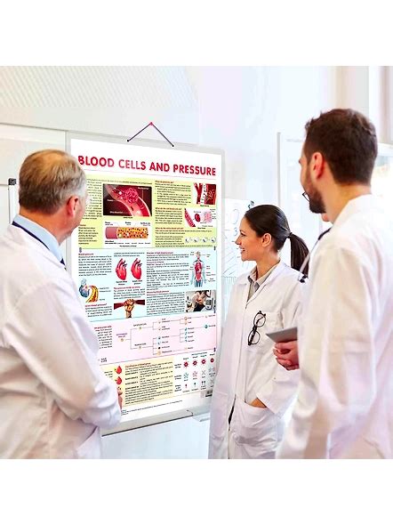 BLOOD CELLS AND PRESSURE CHART | Unraveling Blood Cells and Pressure ...