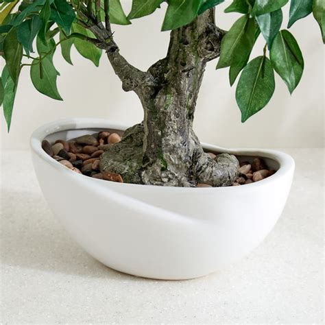 Buy Gloria Artificial Ficus Bonsai Plant in Ceramic Pot from Home ...